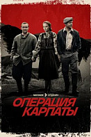 Операция «Карпаты» (2024)