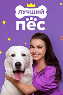 Лучший пёс (2020)